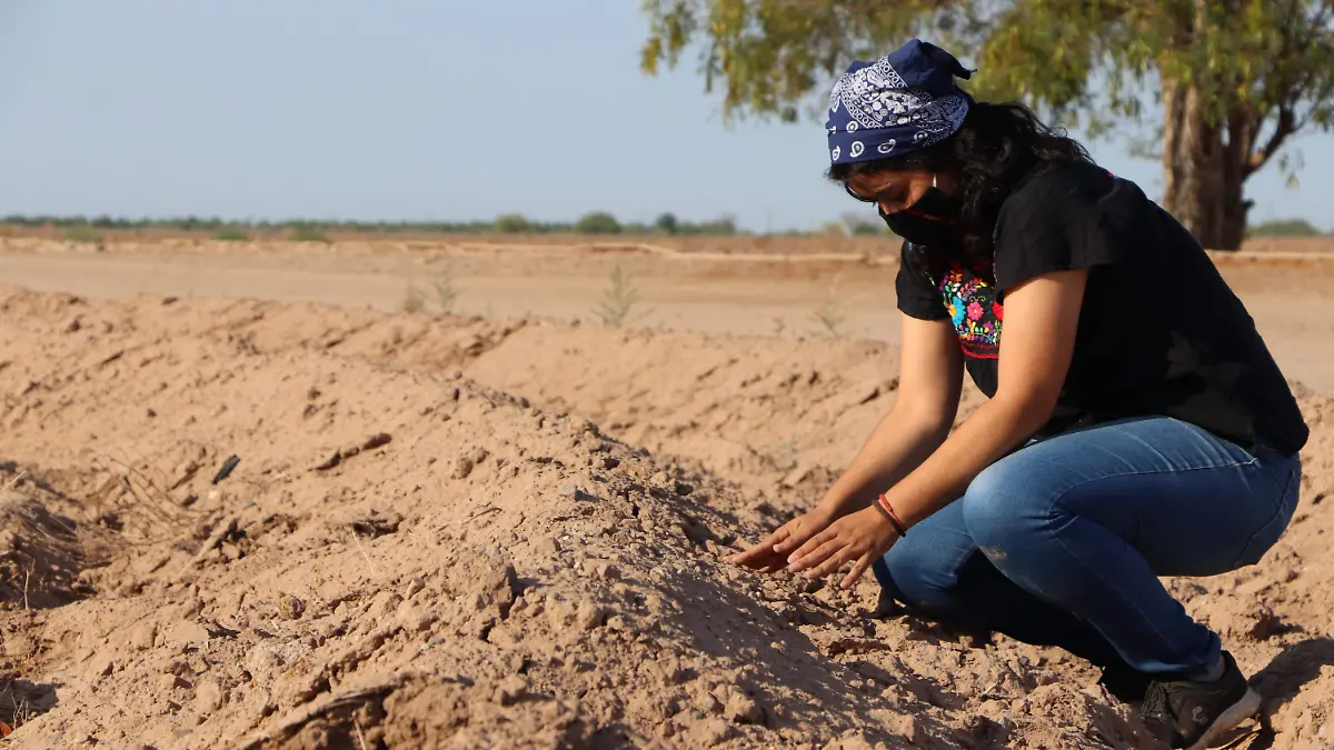 Temática sequía campos agrícolas  - Cecilia Saijas (44)